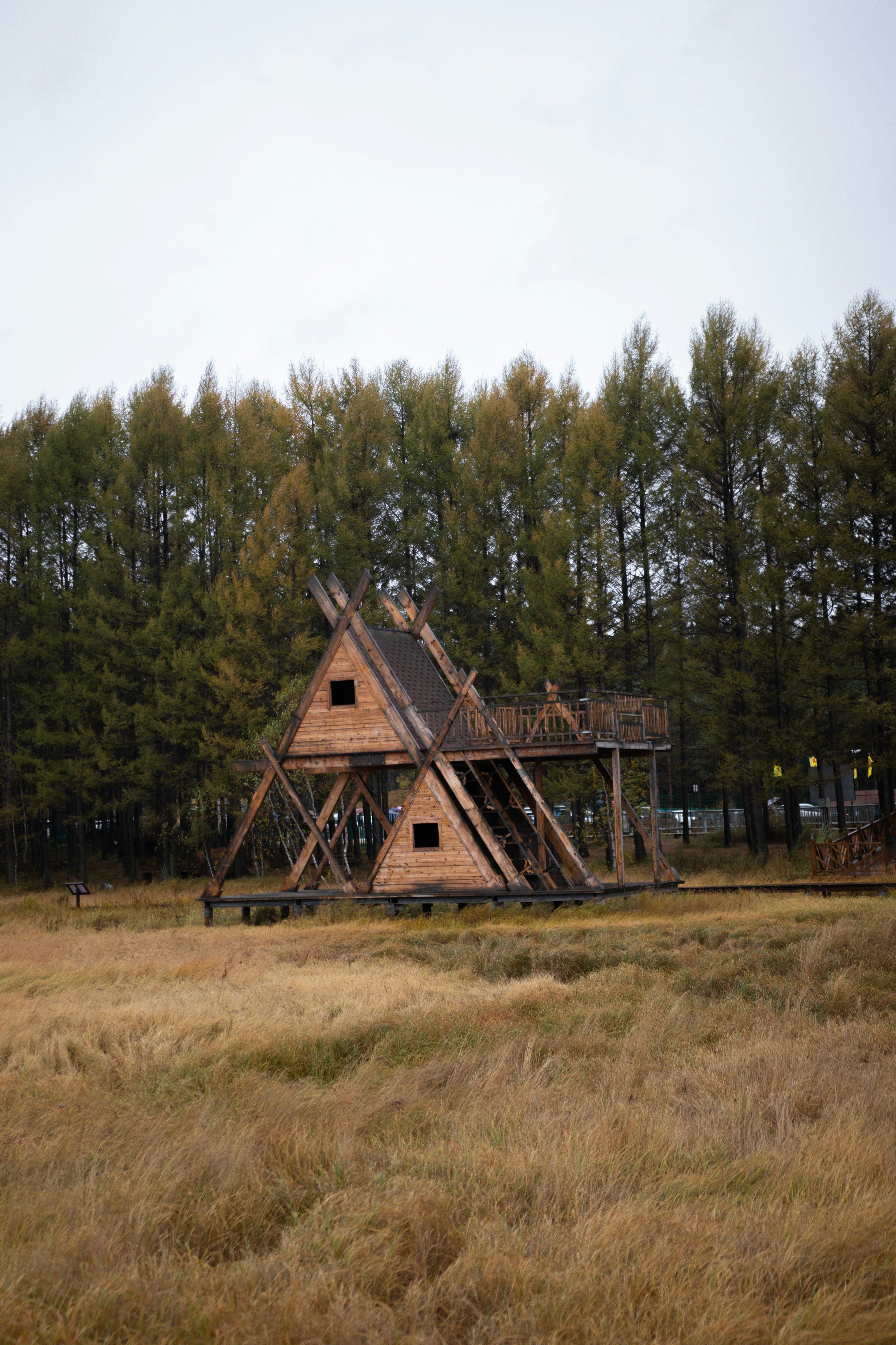 Dobbelt træhus
